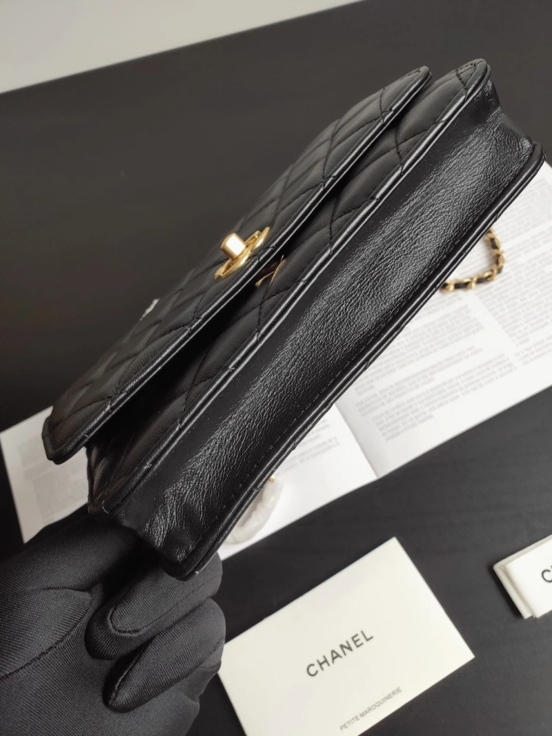 Ch**el cf series bags 4017-0219