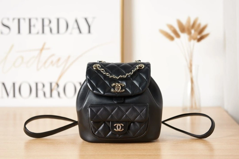 Ch**el backpacks 4017-0373
