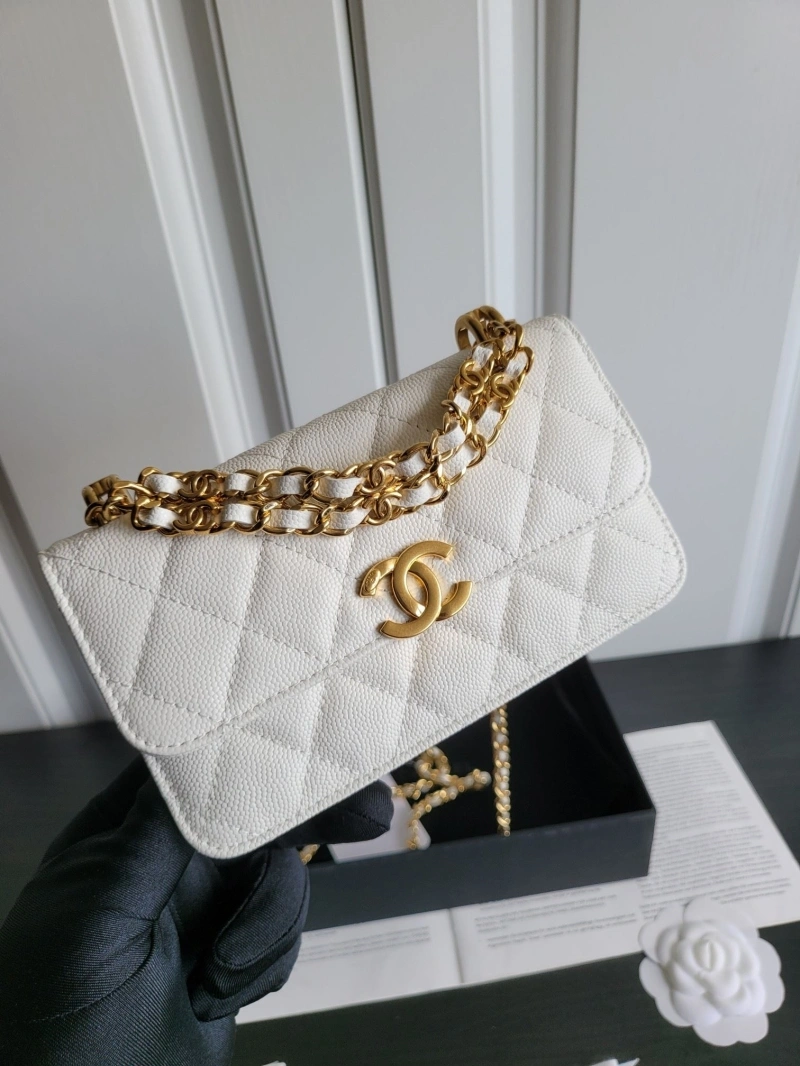 Ch**el 19 bags 4017-0410