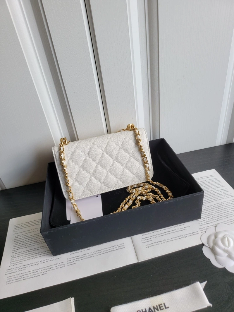 Ch**el 19 bags 4017-0410