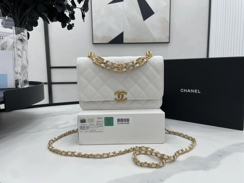 Ch**el 19 bags 4017-0507