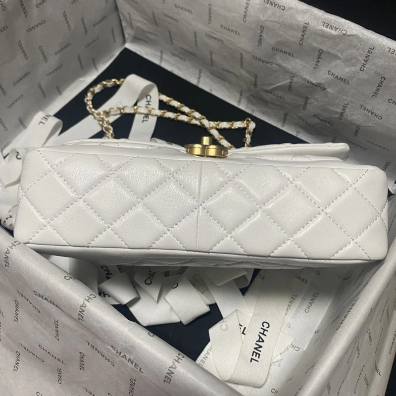 Ch**el 19 bags 4017-0751