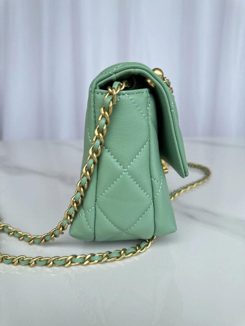 Ch**el 19 bags 4017-0869