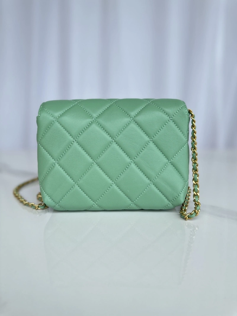 Ch**el 19 bags 4017-0869