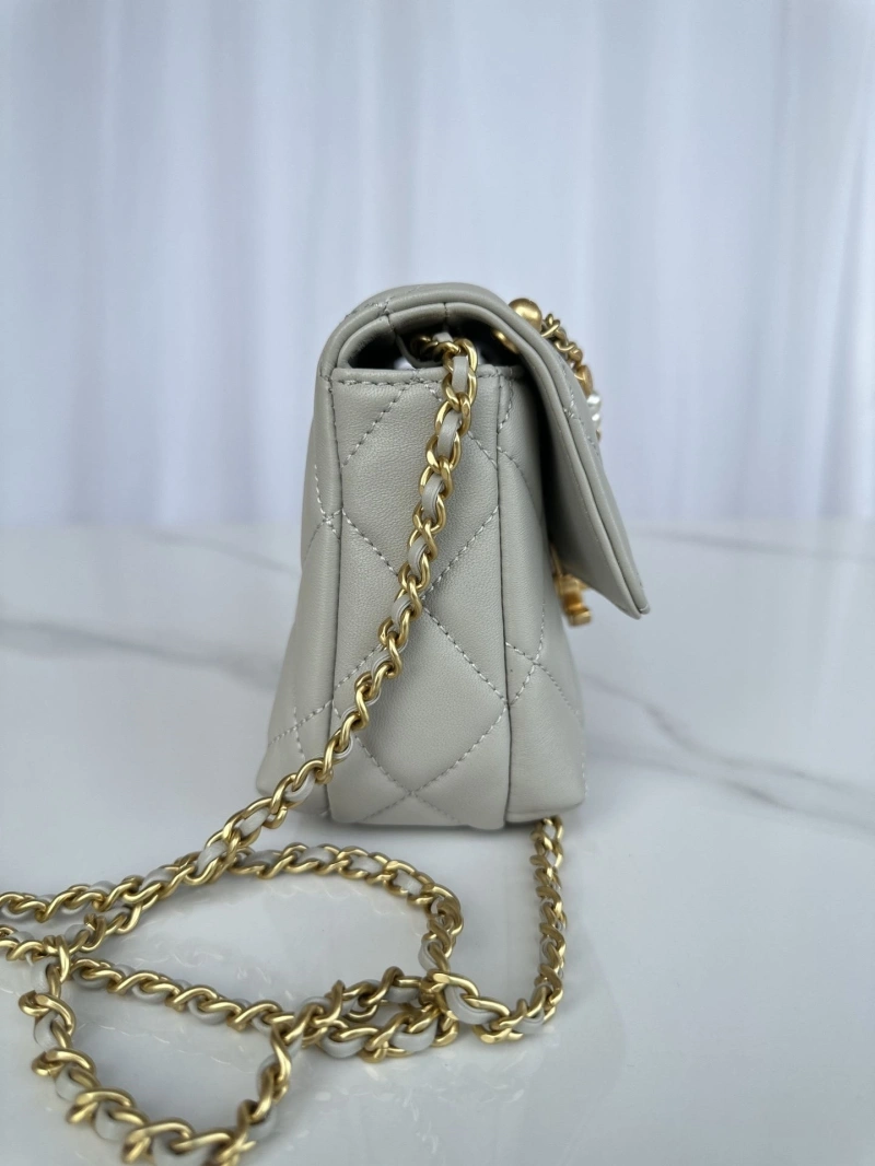 Ch**el 19 bags 4017-0873