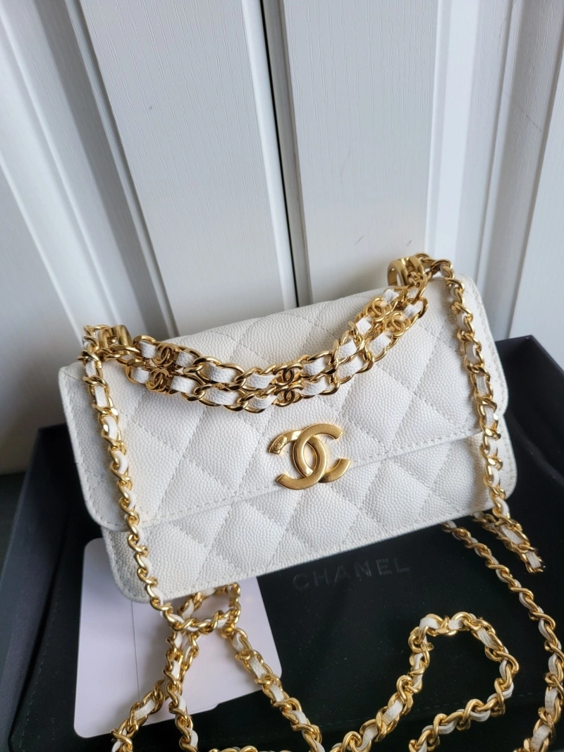 Ch**el 19 bags 4017-1106