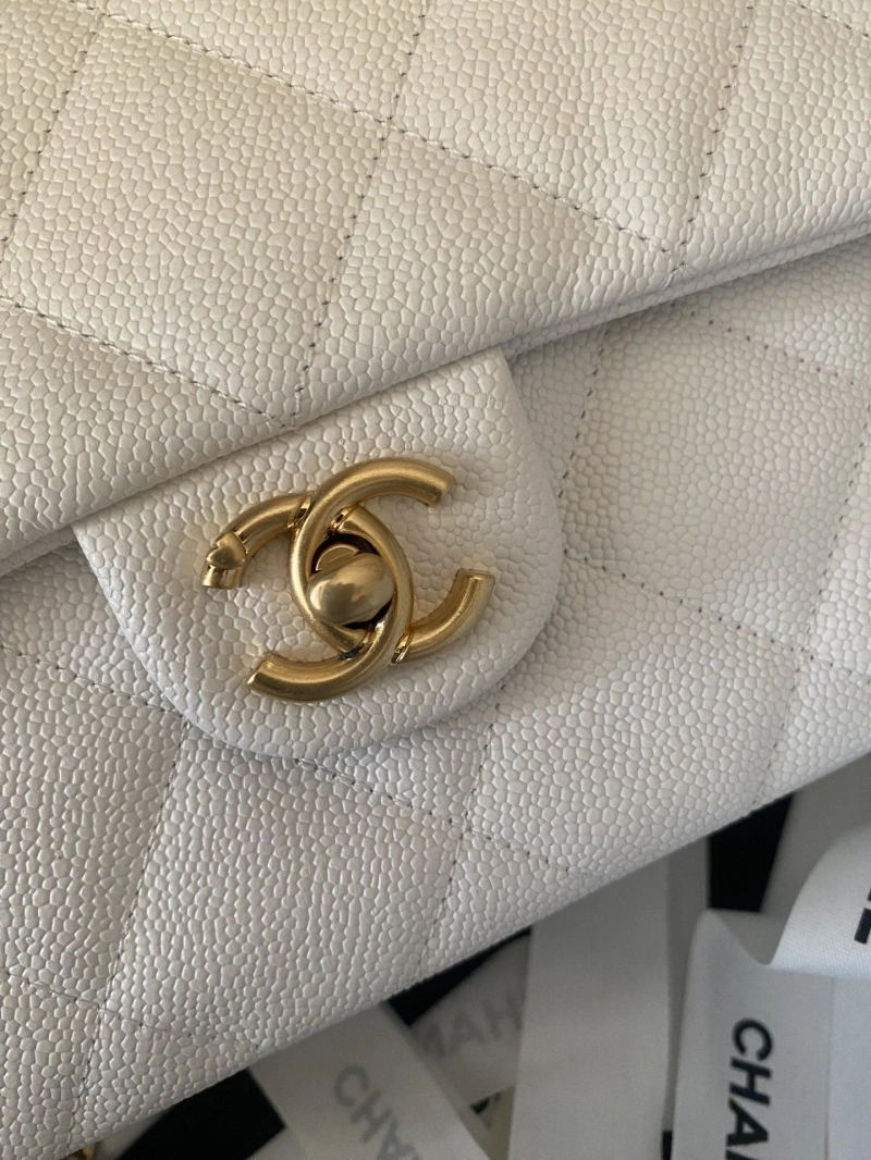 Ch**el 19 bags 4017-1517