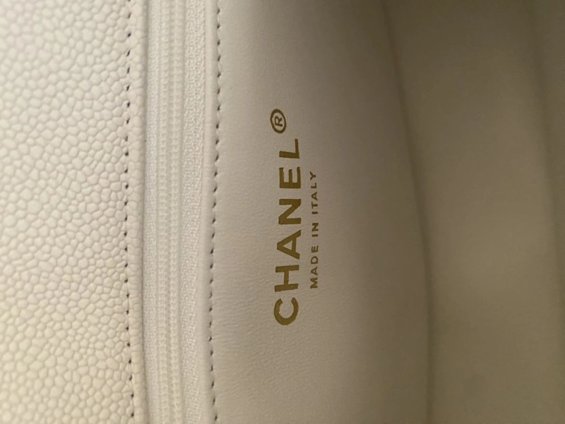 Ch**el 19 bags 4017-1517