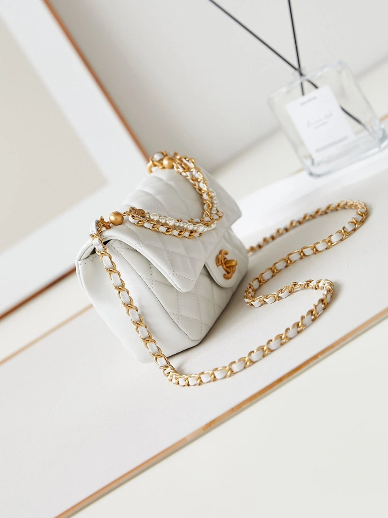 Ch**el 19 bags 4017-1528
