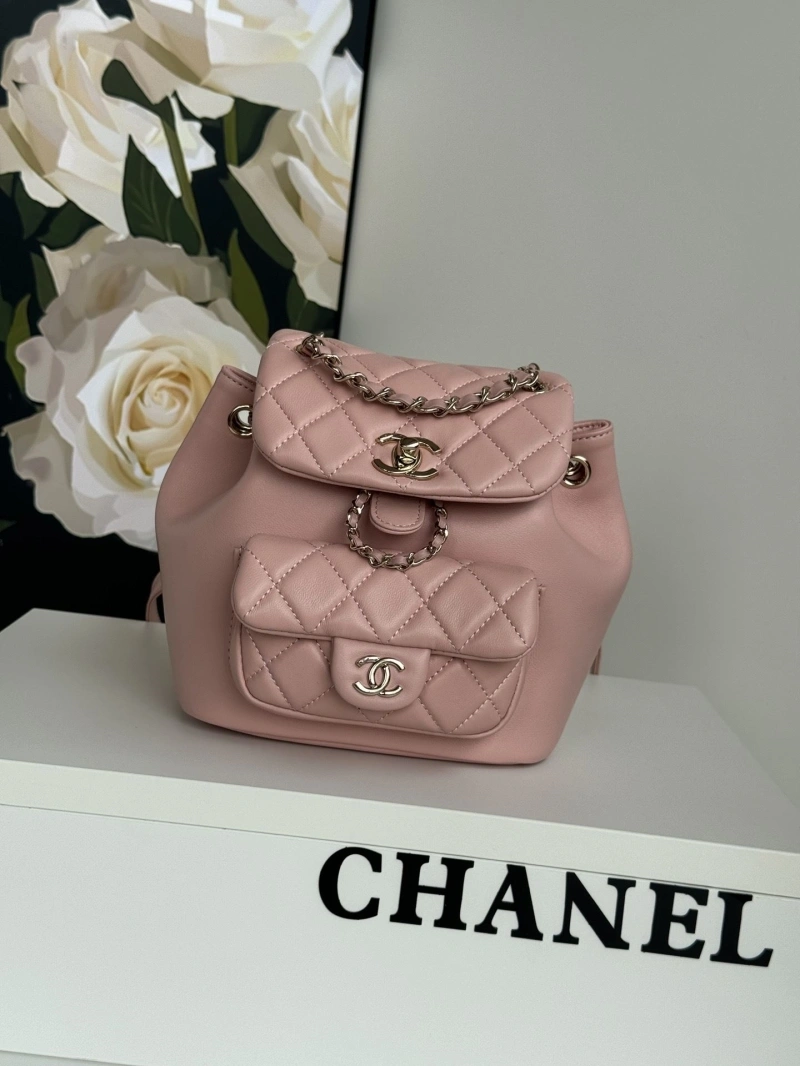 Ch**el backpacks 4017-1761