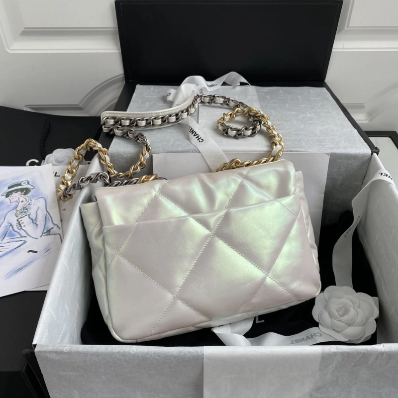 Ch**el 19 bags 4017-1893