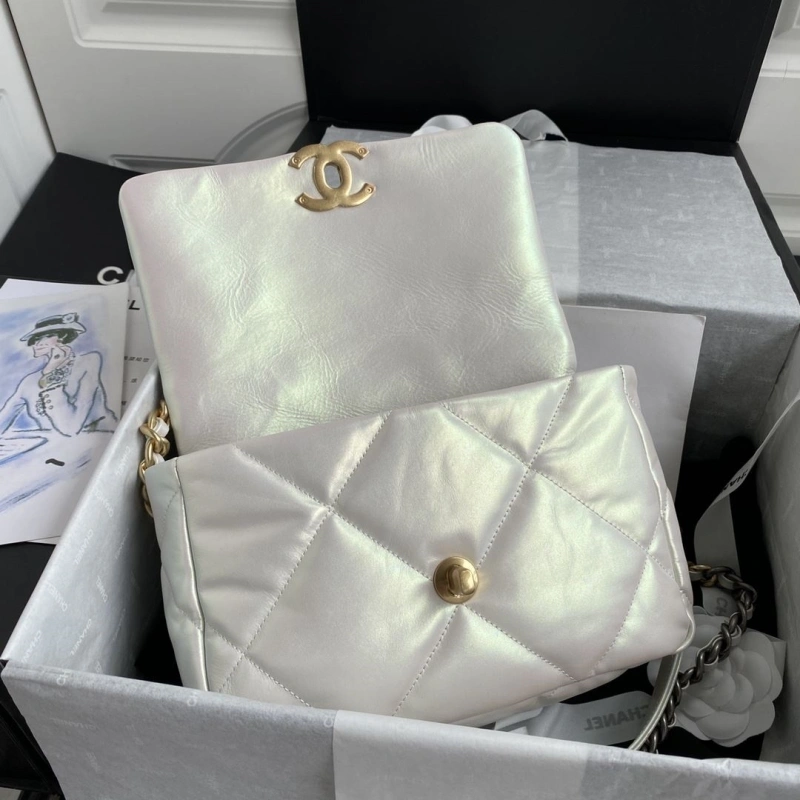Ch**el 19 bags 4017-1893