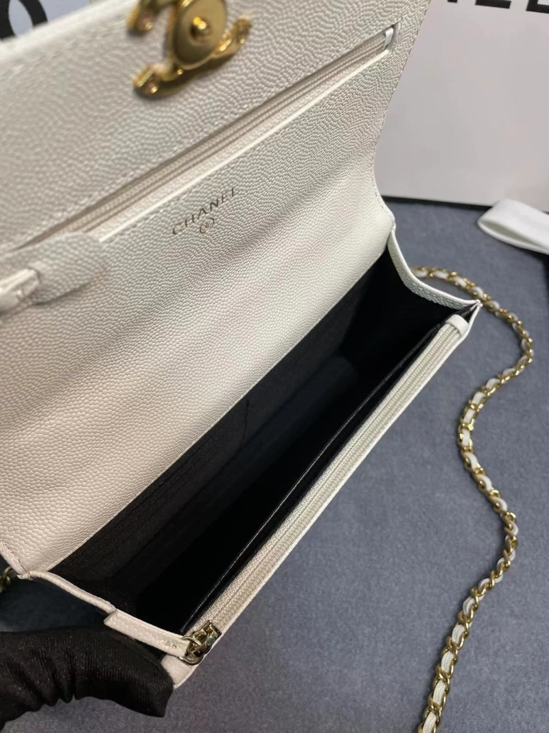Ch**el 19 bags 4017-1971
