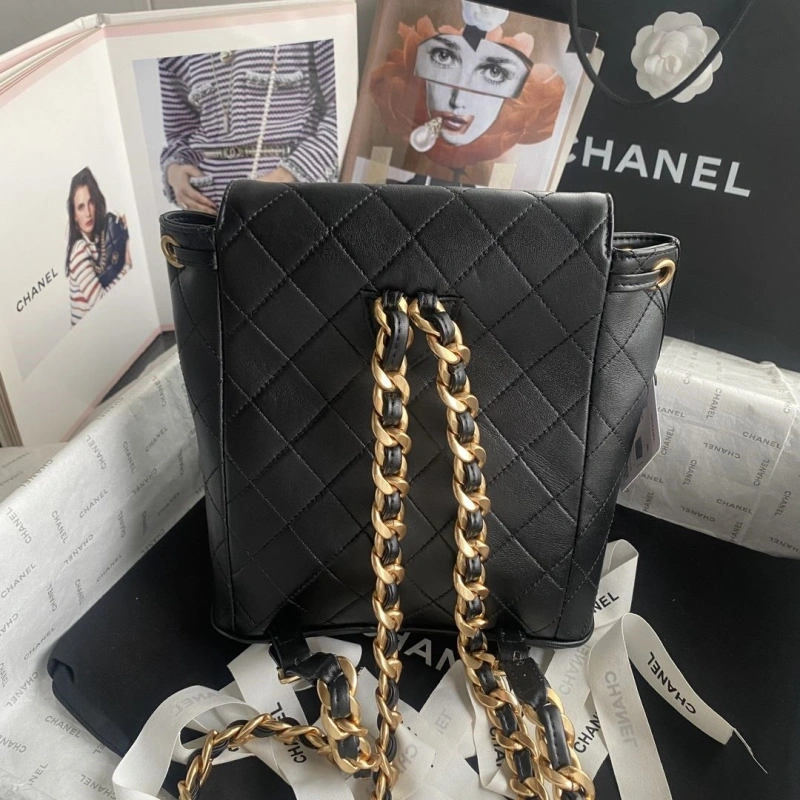 Ch**el backpacks 4017b-0052