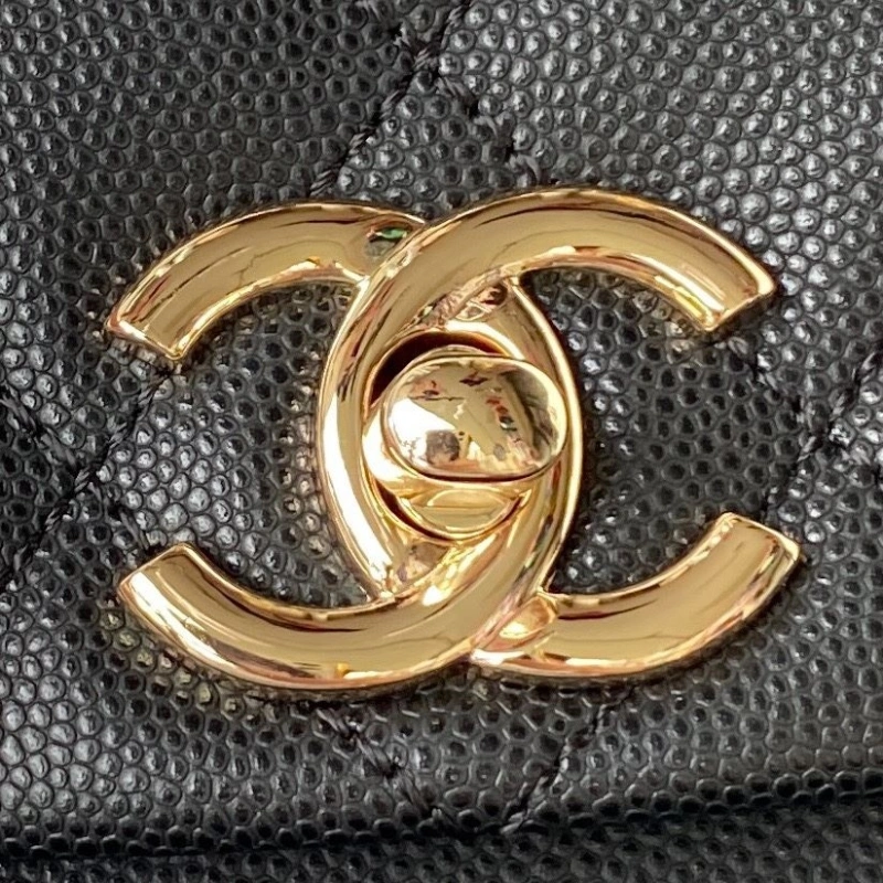 Ch**el backpacks 4017b-0064