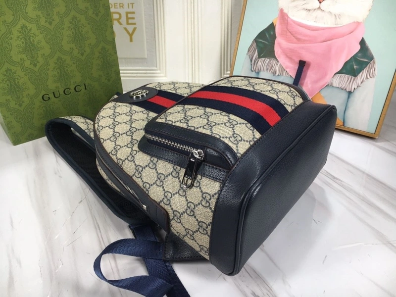 Gvc*1 backpacks 4032-1080