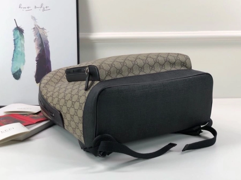 Gvc*1 backpacks 4036c-0924