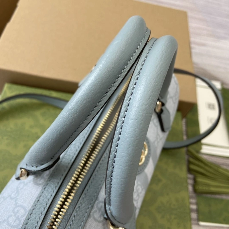 Gvc*1 speedy bags 4036c-3480