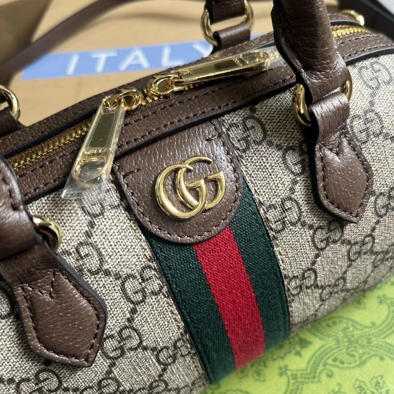 Gvc*1 speedy bags 4036c-3481