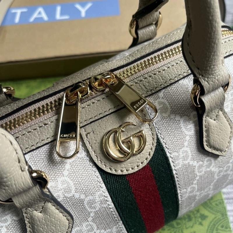 Gvc*1 speedy bags 4036c-3482