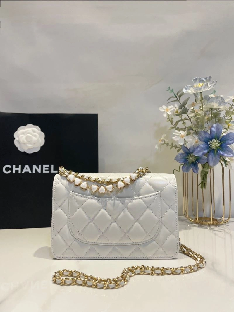 Ch**el 19 bags 4046g-0035