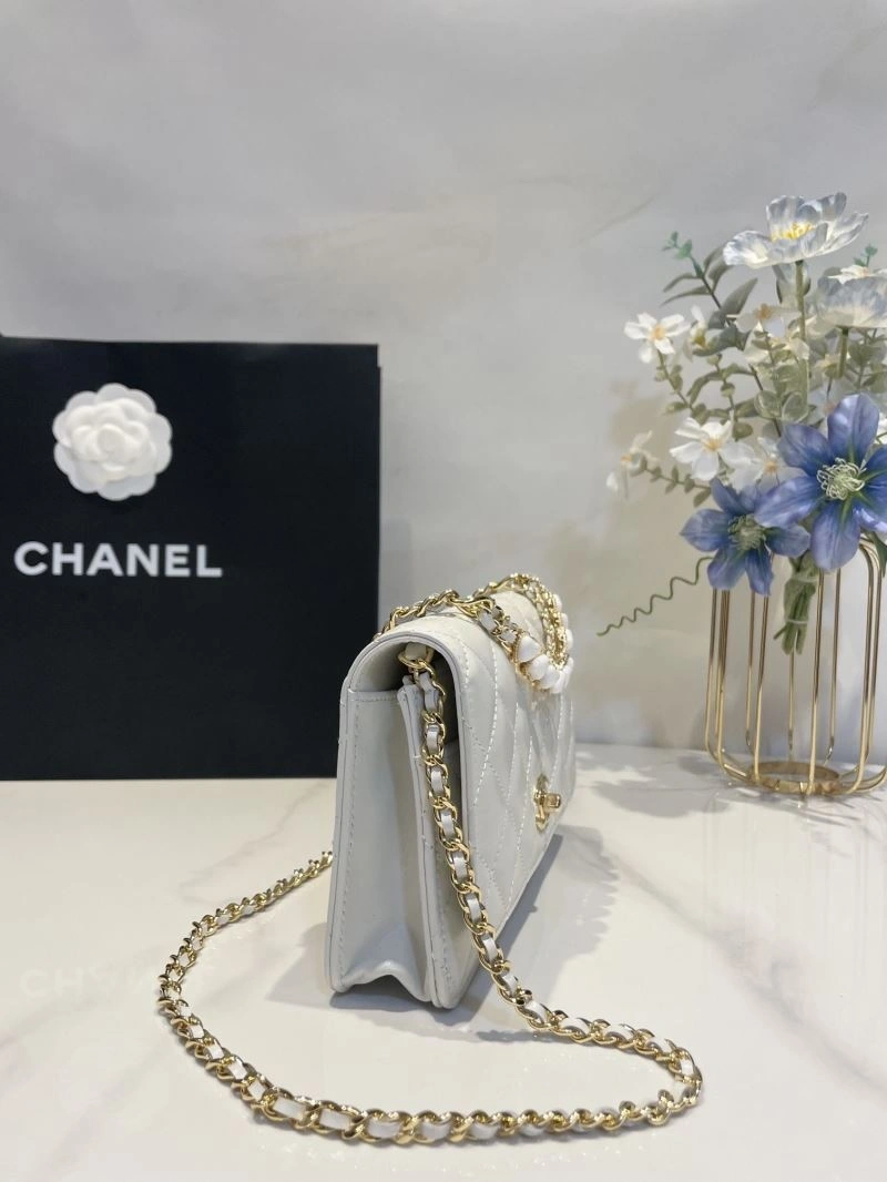 Ch**el 19 bags 4046g-0035