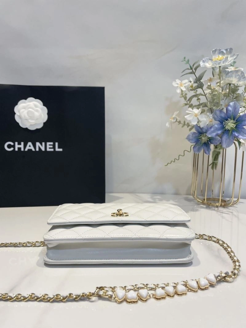 Ch**el 19 bags 4046g-0035