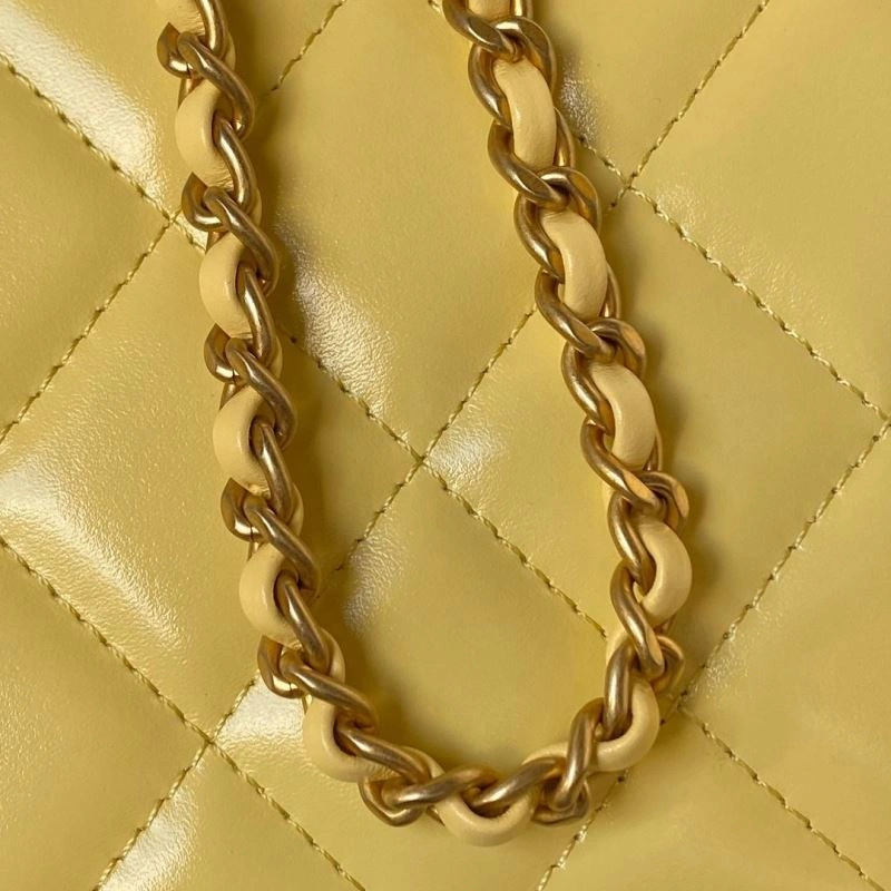 Ch**el 19 bags 4049c-0088