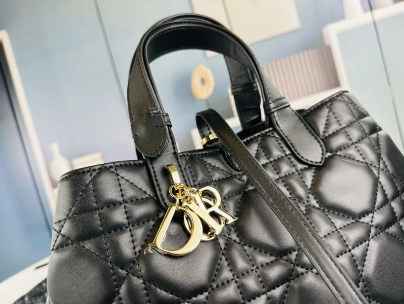 D10r shopping bags 4081b-1723