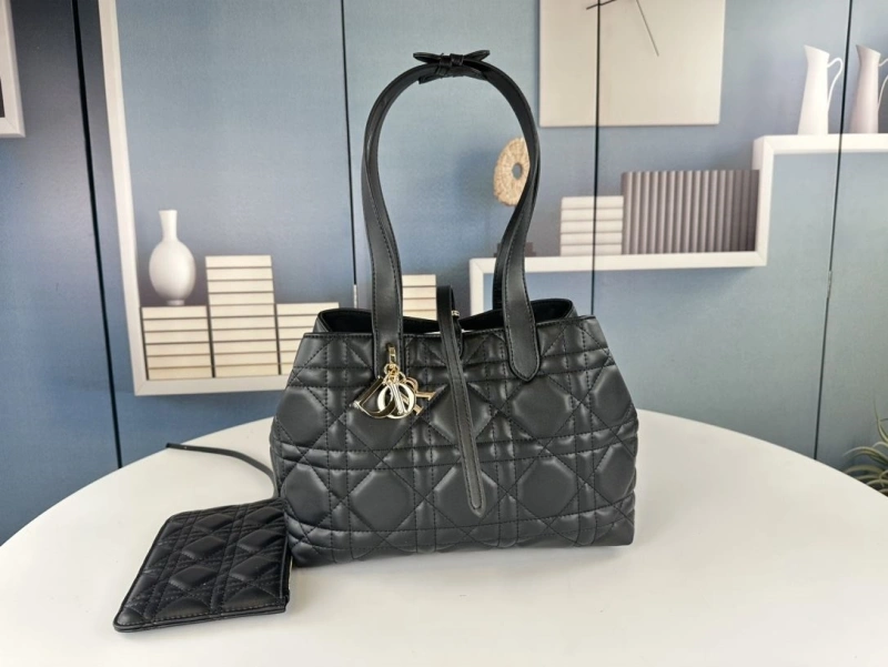 D10r shopping bags 4081b-1723