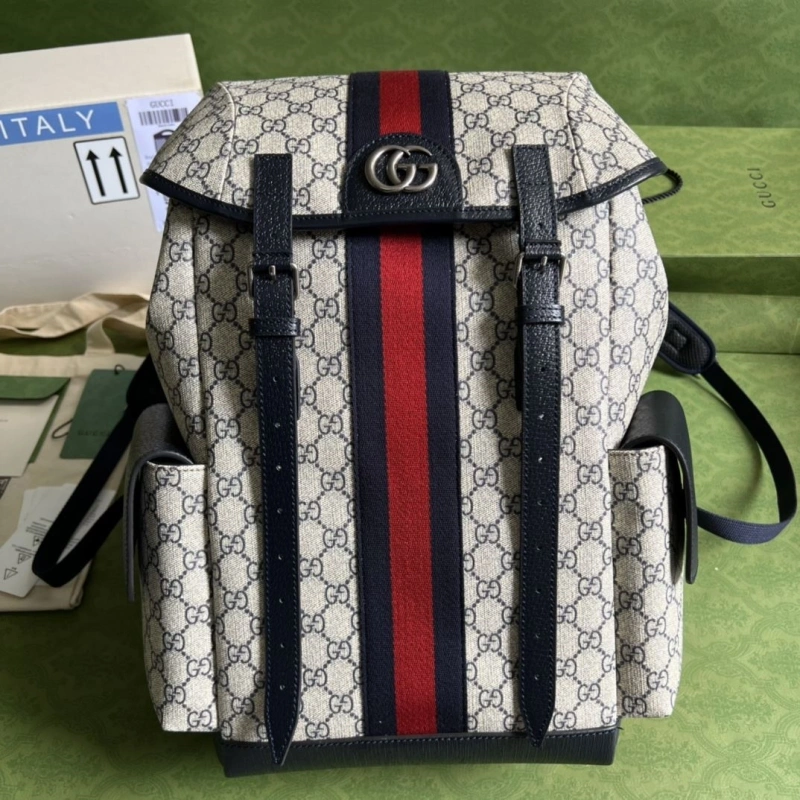 Gvc*1 backpacks 4094-0411