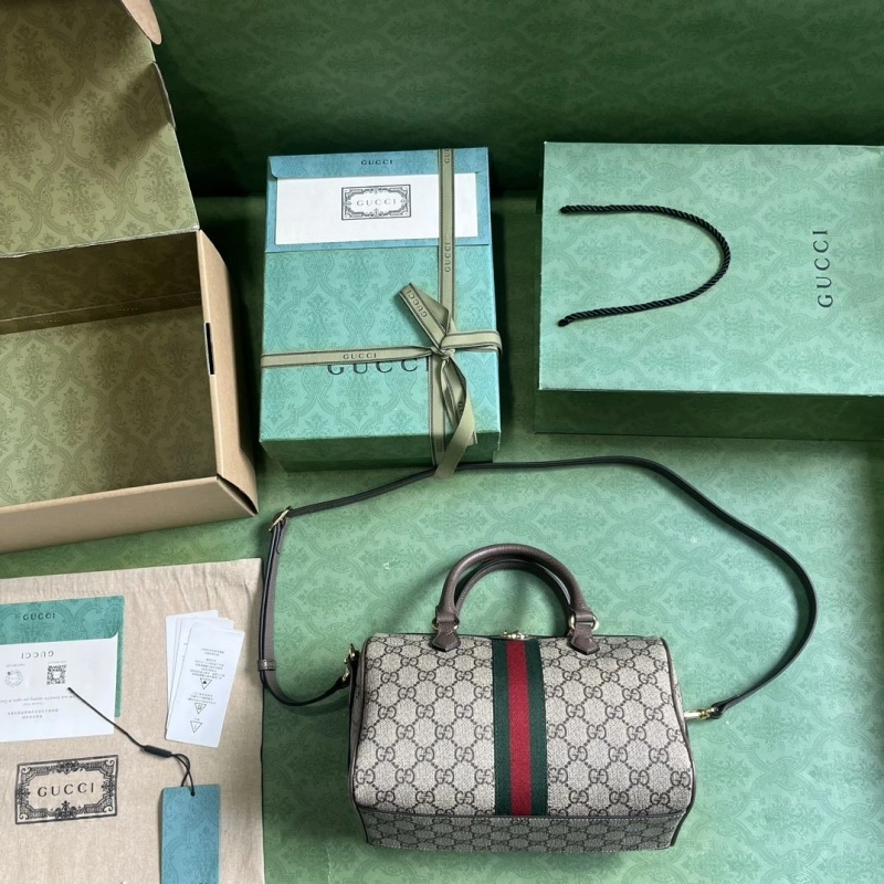 Gvc*1 speedy bags 4094b-0166