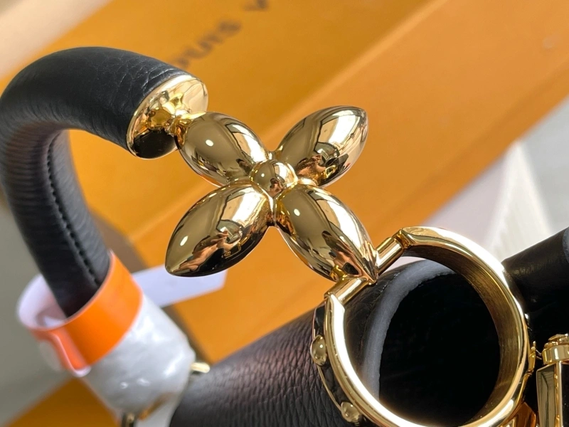 LV Capucines Bags 4171F-0015