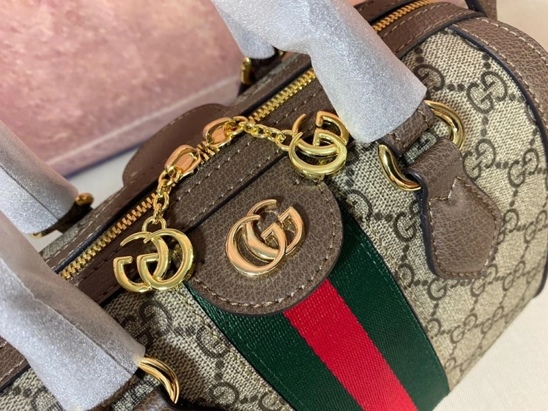 Gvc*1 speedy bags 4189a-0210