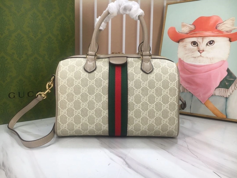 Gvc*1 speedy bags 4189a-0284