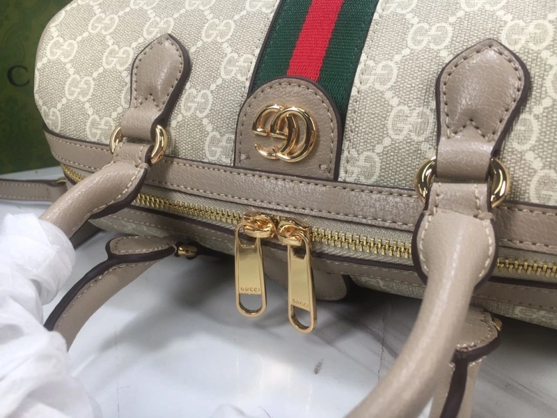 Gvc*1 speedy bags 4189a-0284