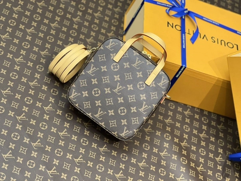 LV Cosmetic Bags 4194A-0107