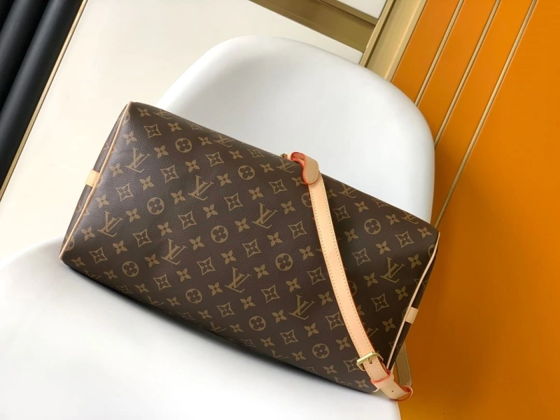 LV Travel Bags 4194A-0117