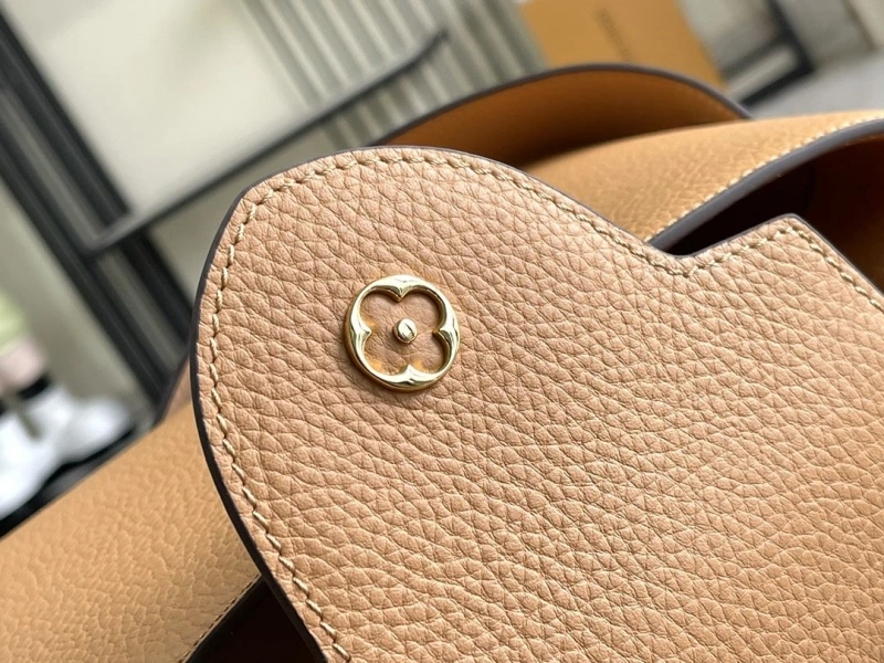 LV Capucines Bags 4194A-0295
