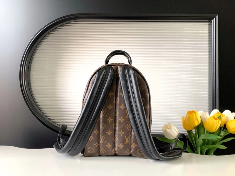 LV Backpacks 4194A-1188