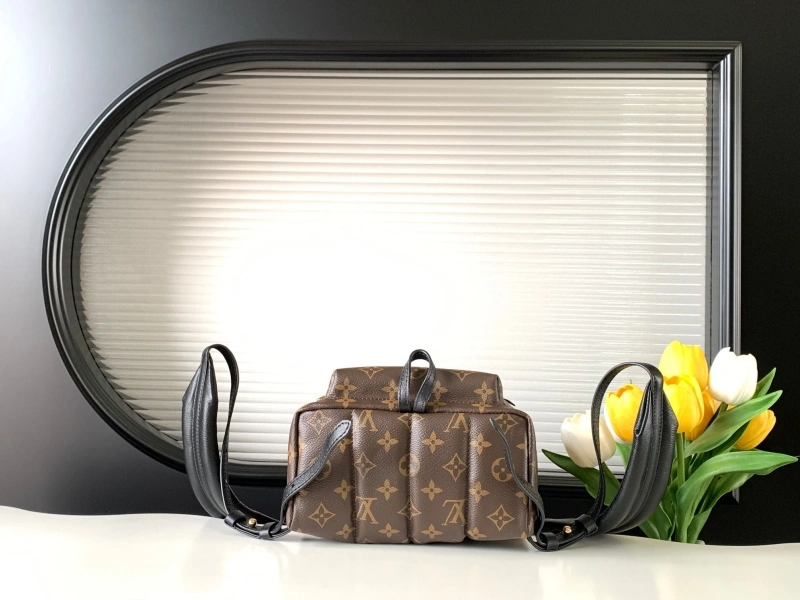 LV Backpacks 4194A-1188