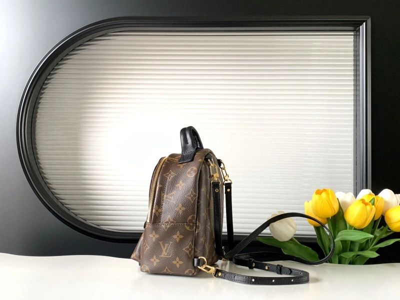 LV Backpacks 4194A-1189