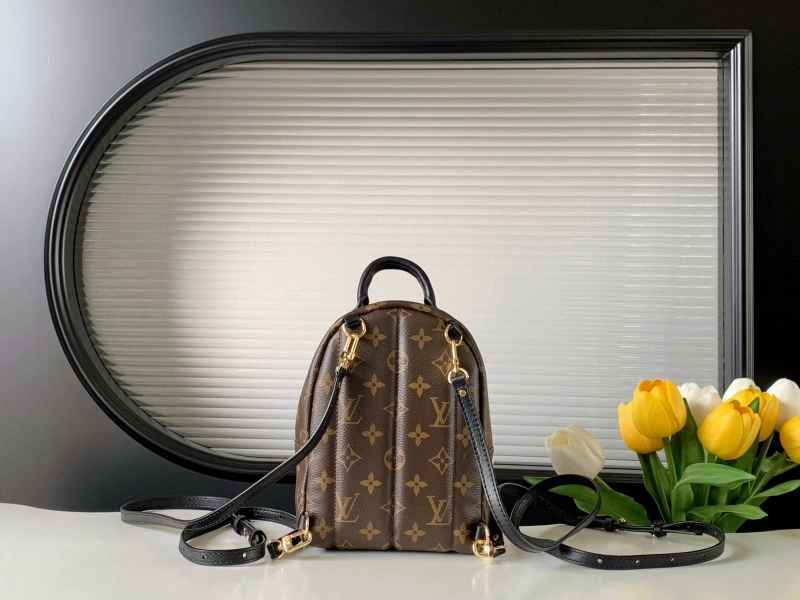 LV Backpacks 4194A-1189