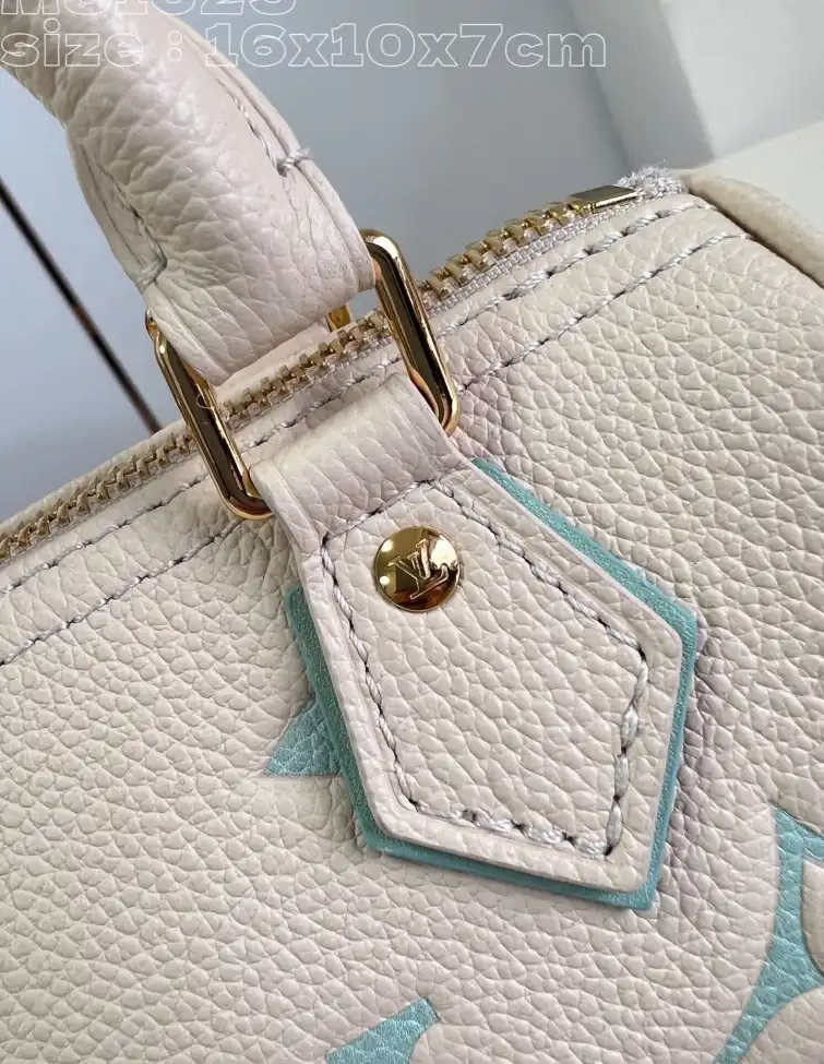 LV Speedy Bags 4206A-1284