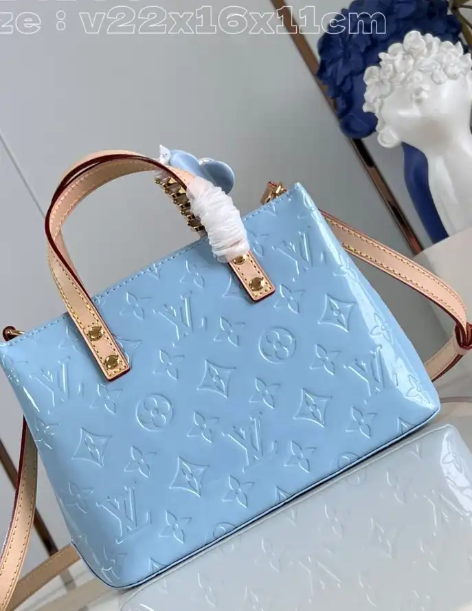 LV Shopping Bags 4206A-2689