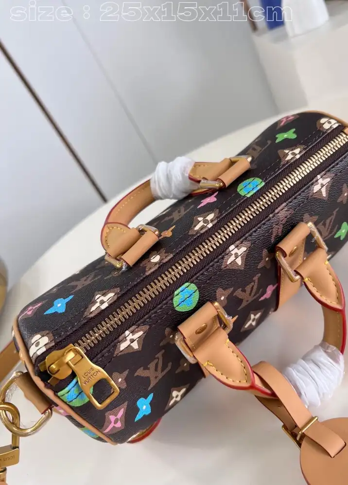 LV Speedy Bags 4206A-4793