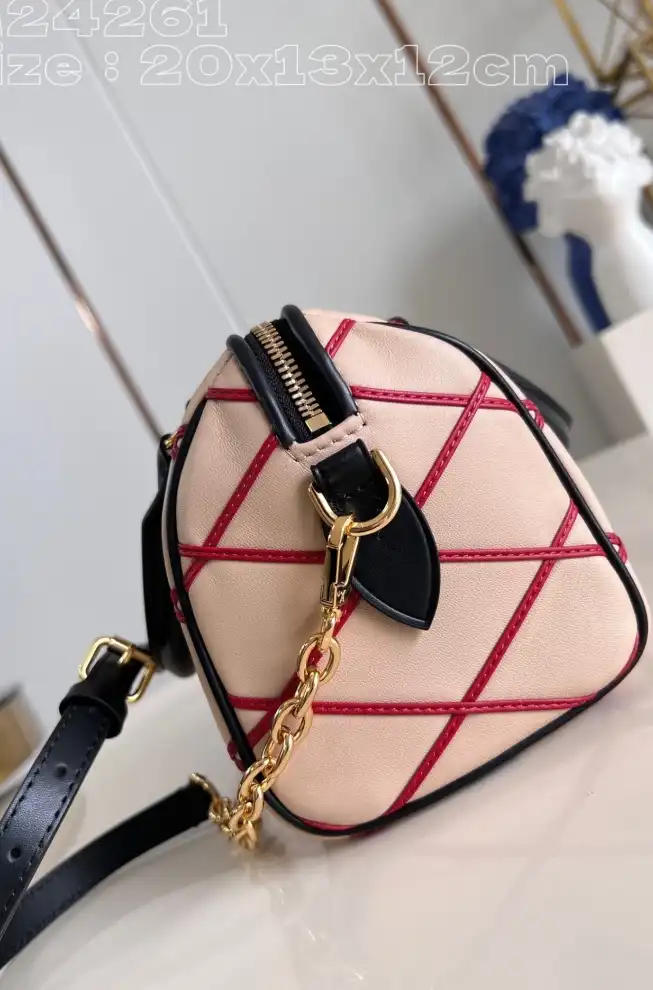 LV Speedy Bags 4206A-4828