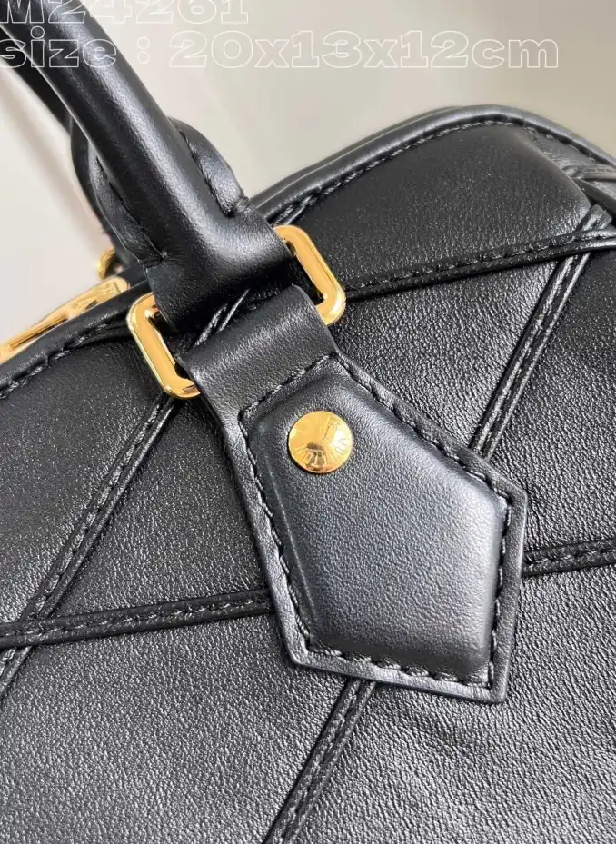 LV Speedy Bags 4206A-4829