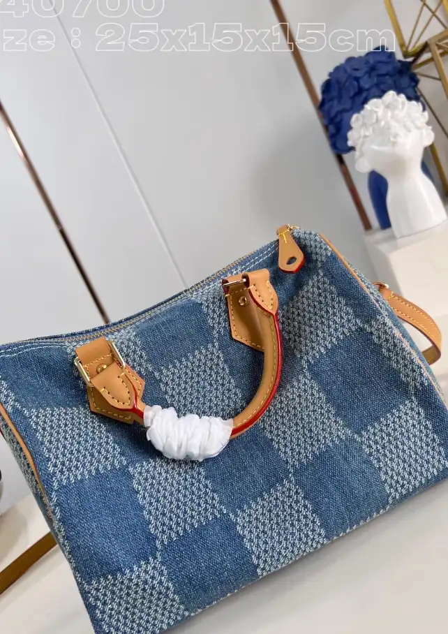 LV Speedy Bags 4206A-4834