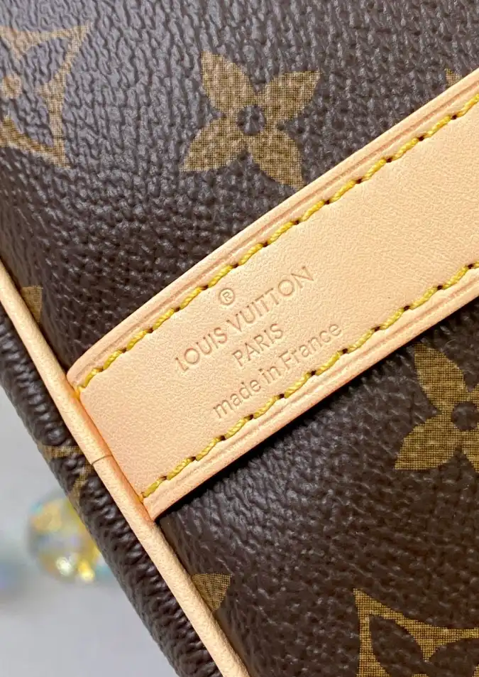LV Speedy Bags 4206A-5954